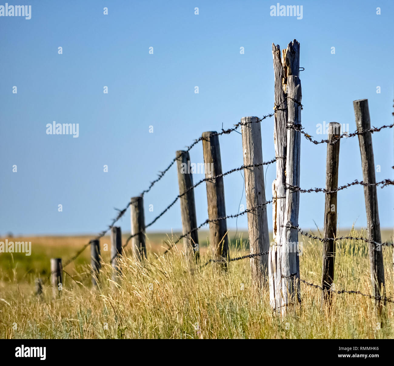 barbed wire canada