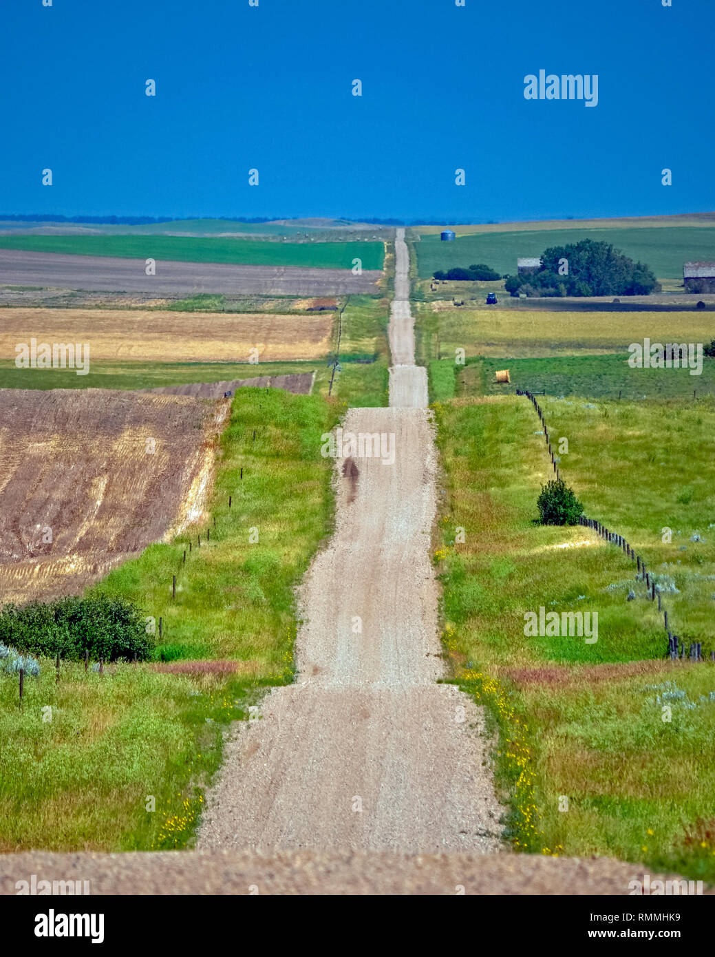 Straight road through rolling landscape, Canada Stock Photo
