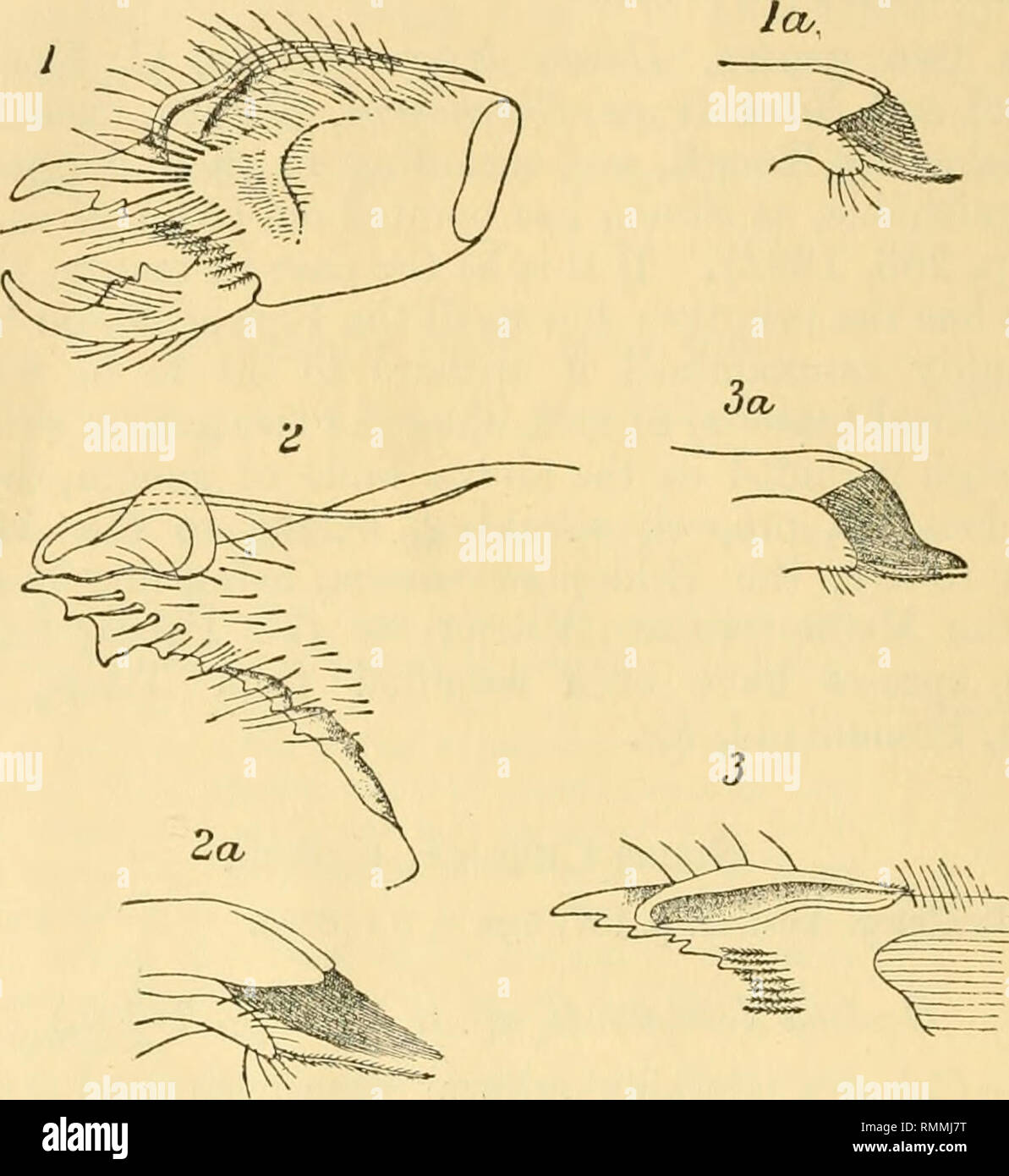 . The Annals and magazine of natural history; zoology, botany, and ...