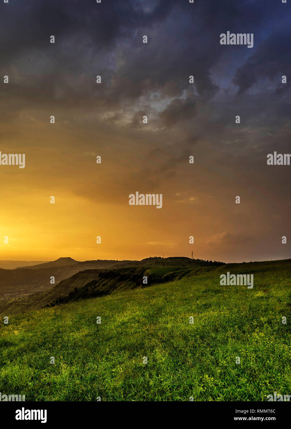Magical golden light, Kas Pathar, Satara, Maharashtra, India Stock Photo Alamy