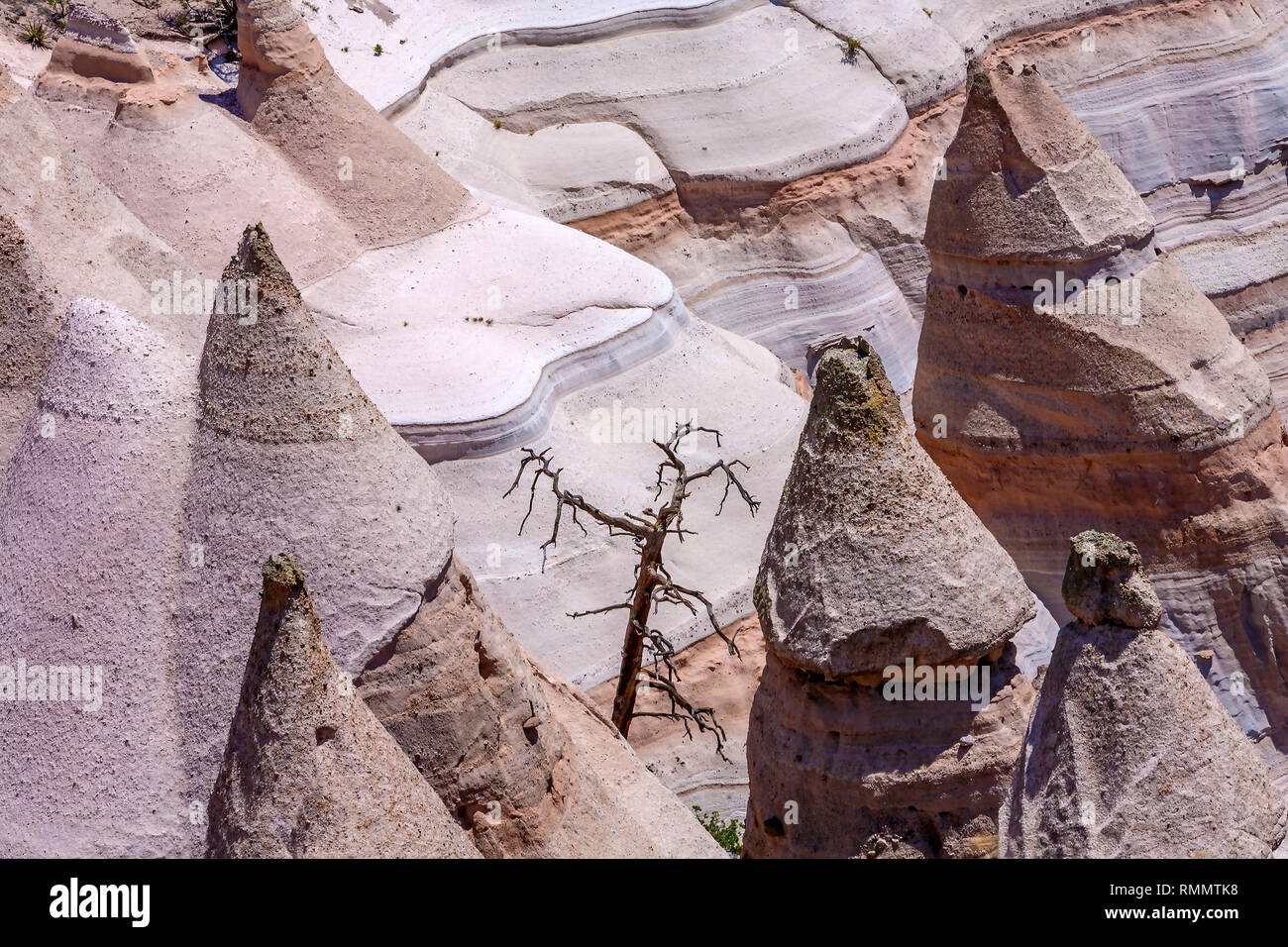 Dead Tree Among Tent Rocks Stock Photo - Alamy
