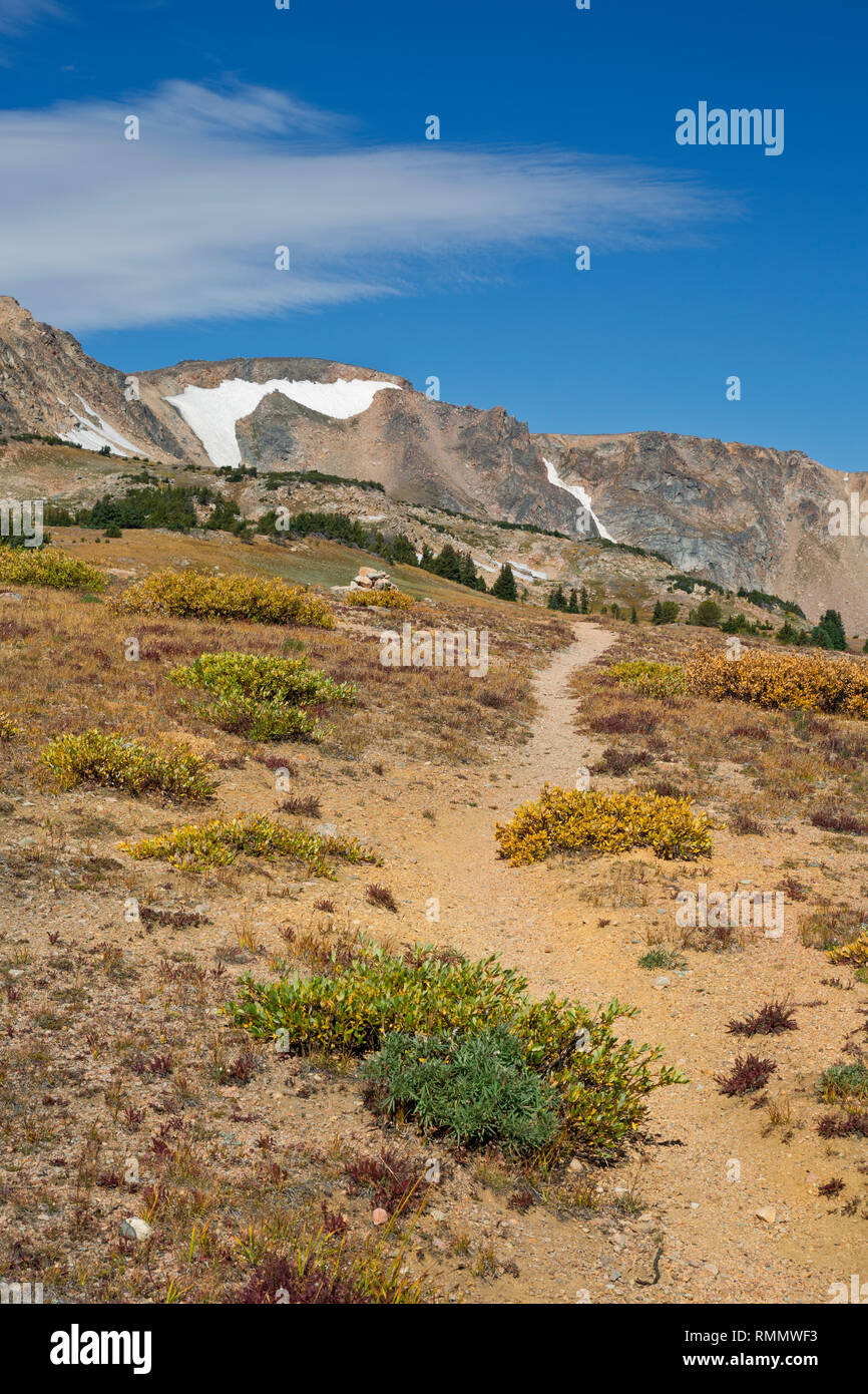 WY03733-00...WYOMING - View along the Tibbs Butte Pass trail on the Beartooth Loop National Recreation Trail in the Shoshone National Park. Stock Photo