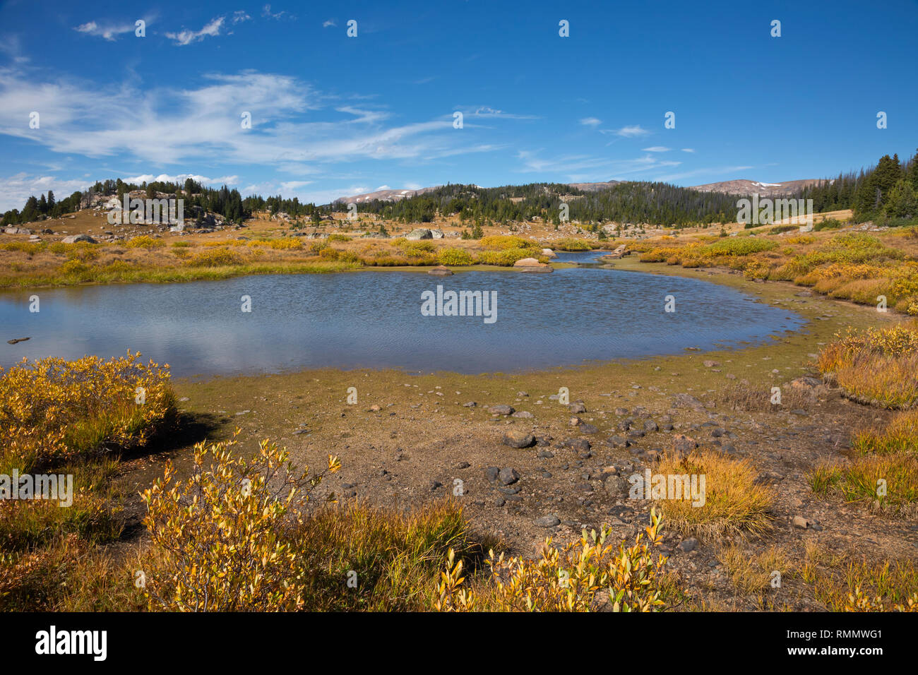 WY03738-00...WYOMING - Small pond near Chain Lakes along the Beartooth Highway in the Shoshone National Forest. Stock Photo