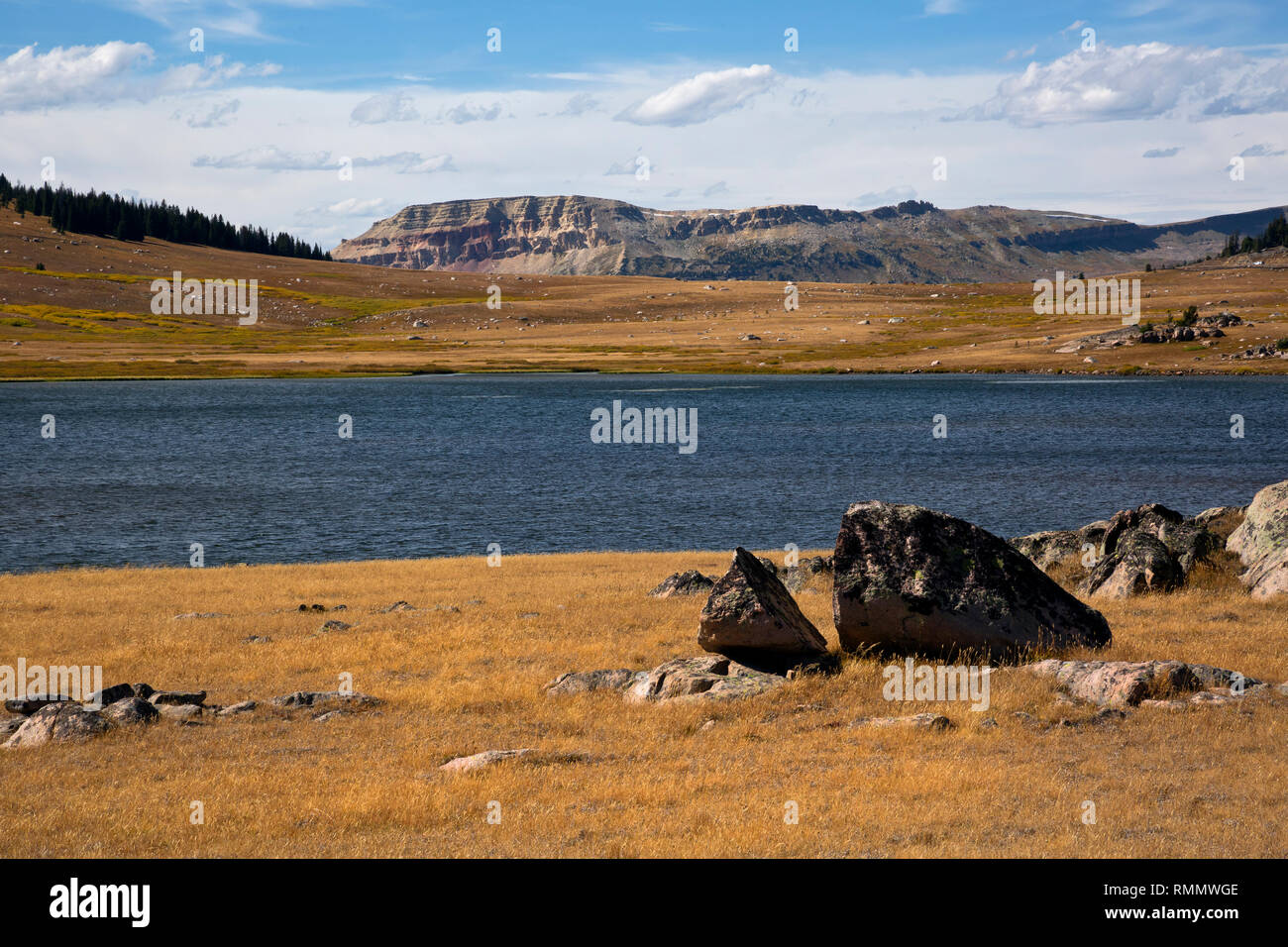 WY03739-00...WYOMING - One of the Chain Lakes located near the Beartooth Highway in the Shoshone National Forest. Stock Photo