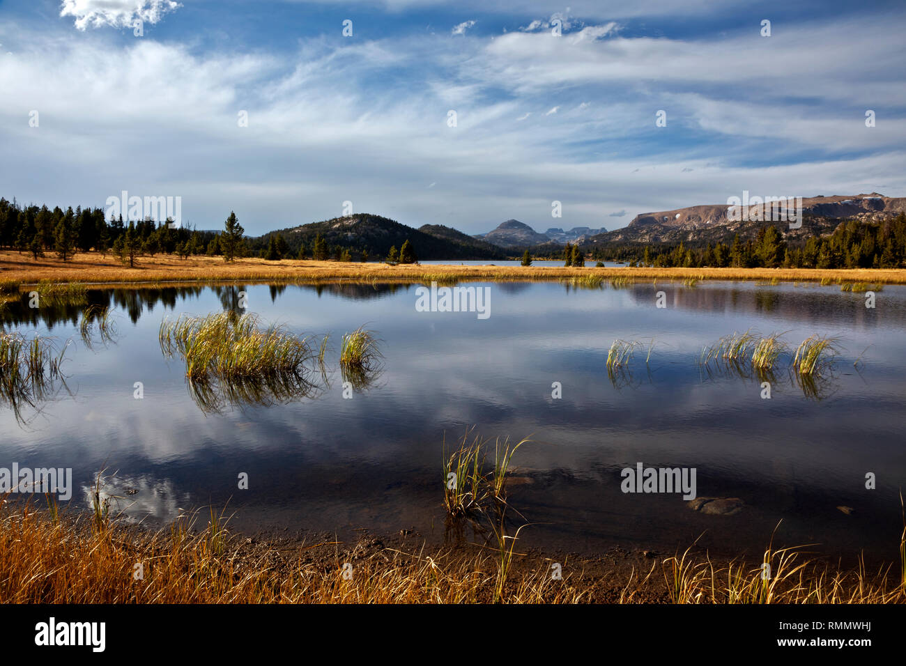 WY03745-00...WYOMING - Small pond and Island Lake located at the edge of the Beartooth Mountains, near the Beartooth Highway, in Shoshone National For Stock Photo