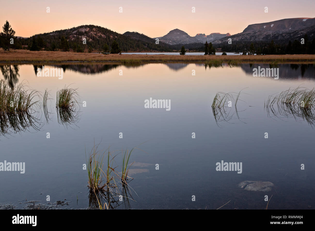 WY03748-00...WYOMING - Sunrise from a small pond along the shore of Island Lake in the Beartooth Mountans area of Shoshone National Forest. Stock Photo
