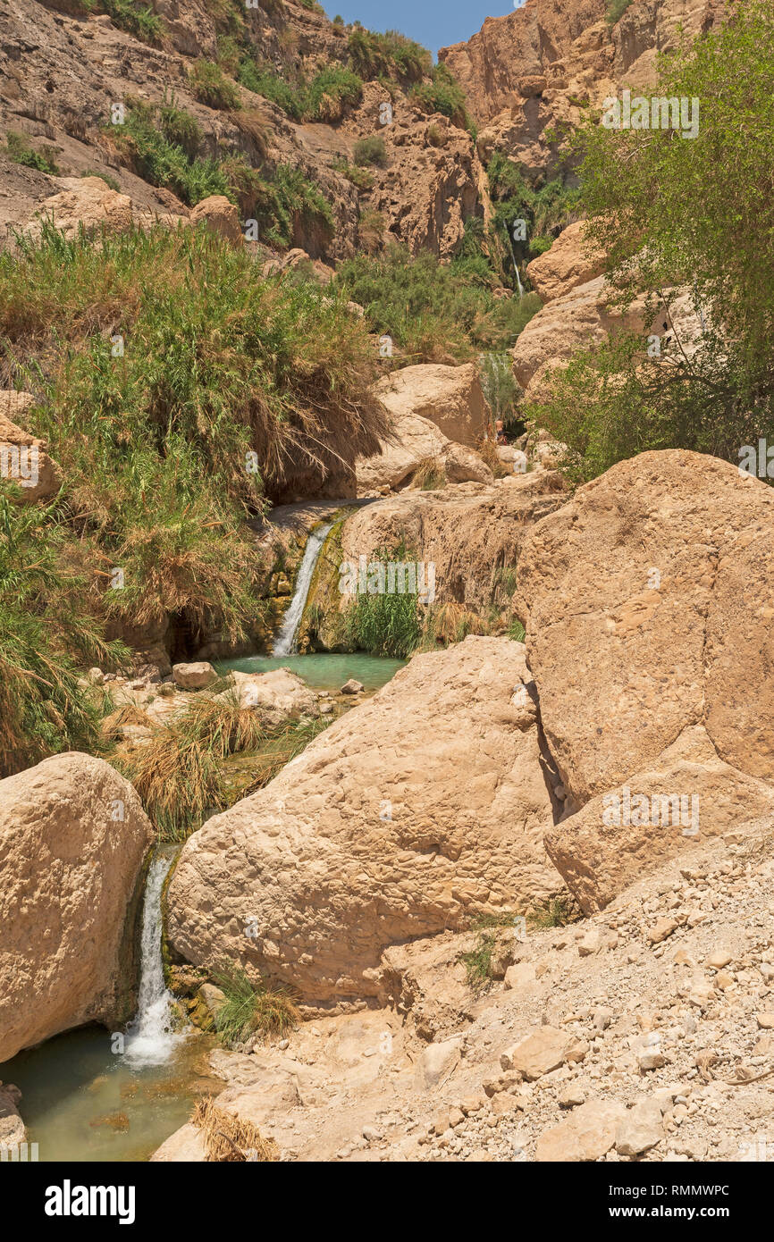 The Waterfalls in a Desert Oasis at Ein Gedi in Israel Stock Photo
