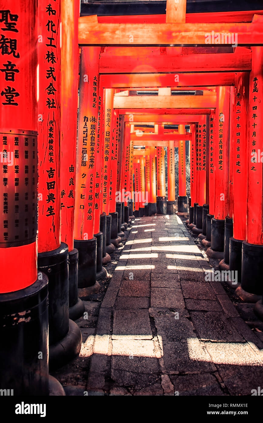 Walkway In Fushimi Inari Shrine In Kyoto High Resolution Stock Photography And Images Alamy