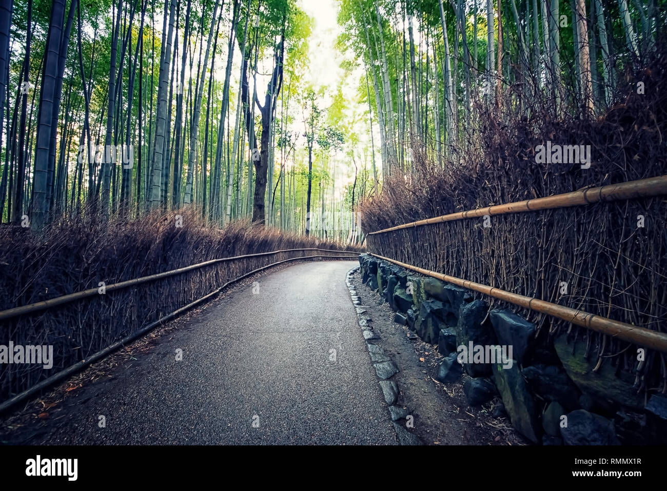 Arashiyama Bamboo Forest in Kyoto Japan Stock Photo