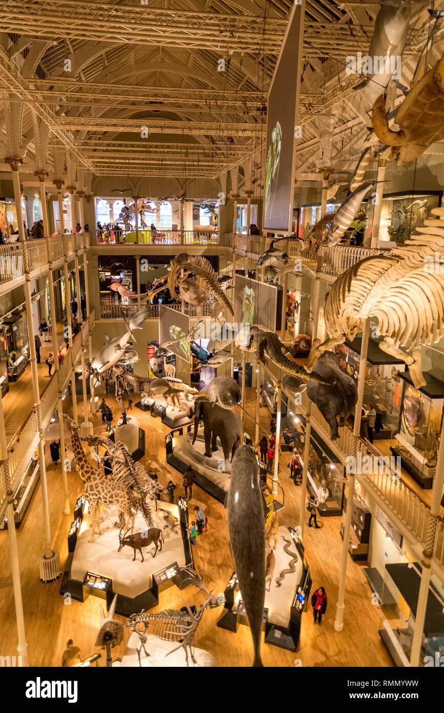 Museum of Scotland in Edinburgh Stock Photo