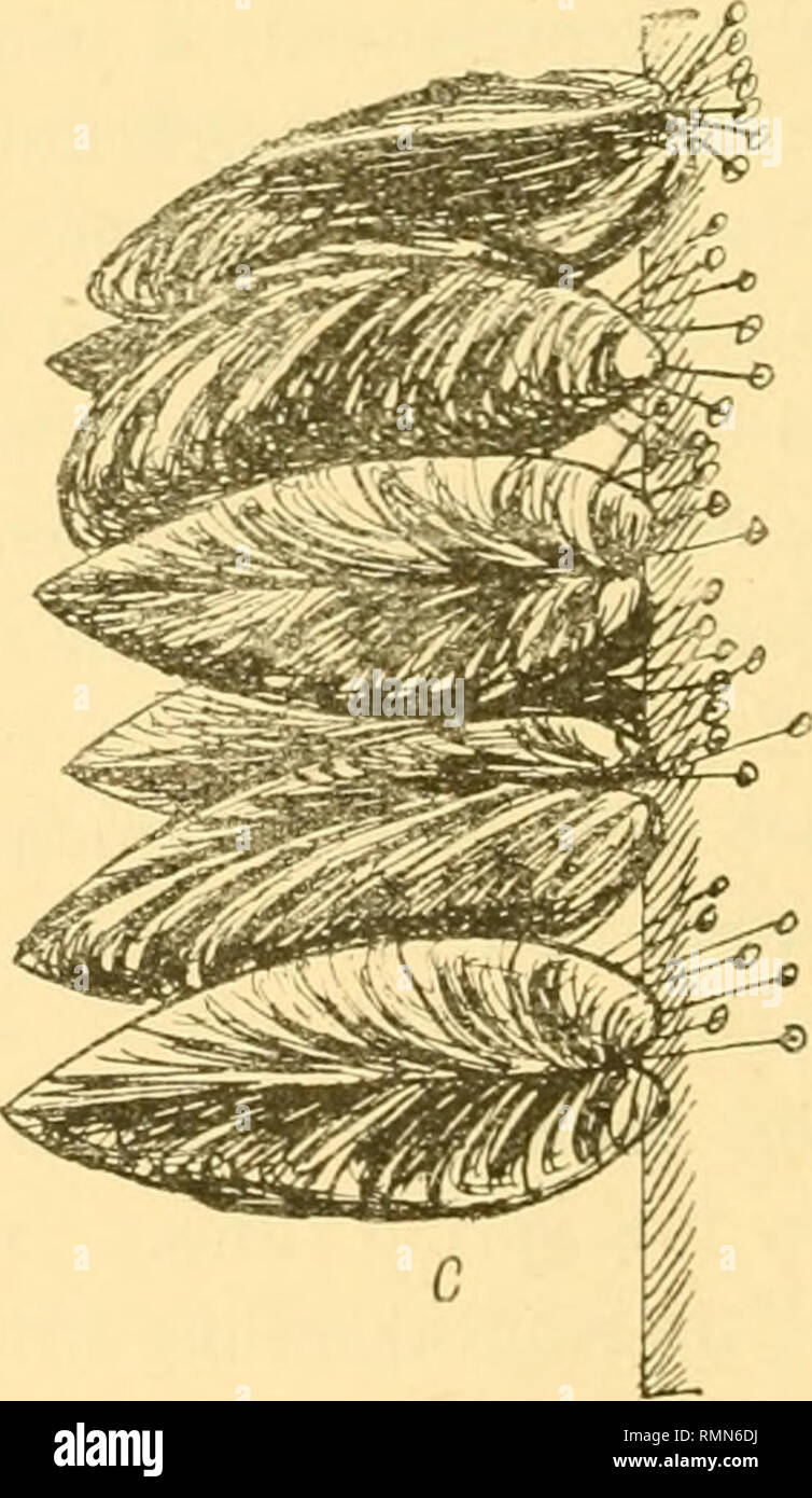 . Annals of applied biology. Biology, Economic; Biochemistry. BySSUt ...