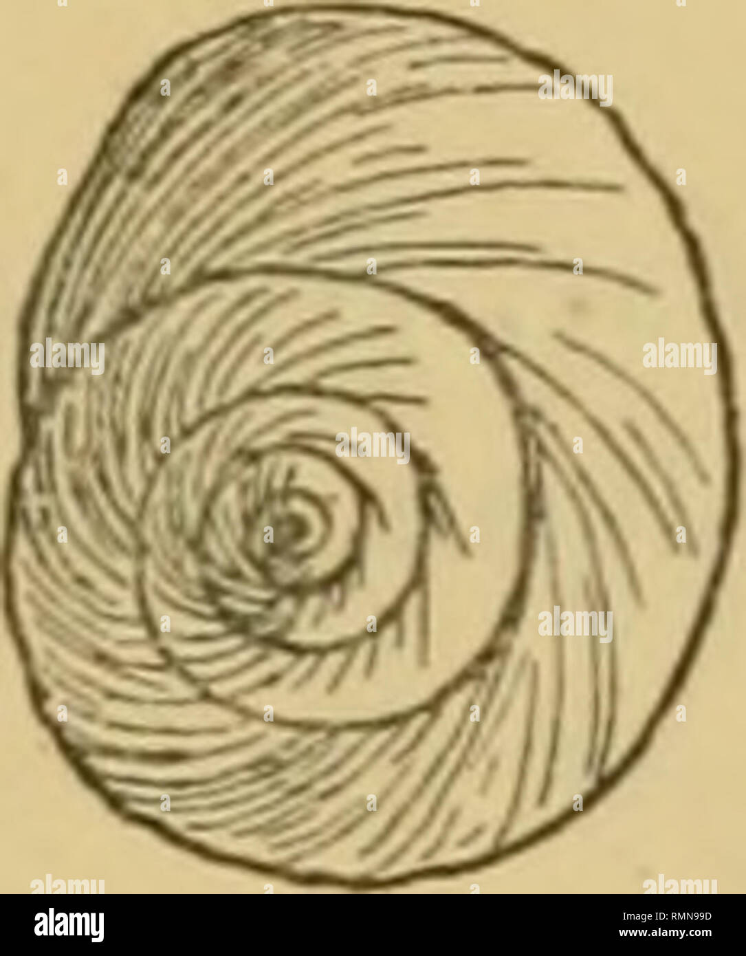 . The Annals and magazine of natural history; zoology, botany, and ...