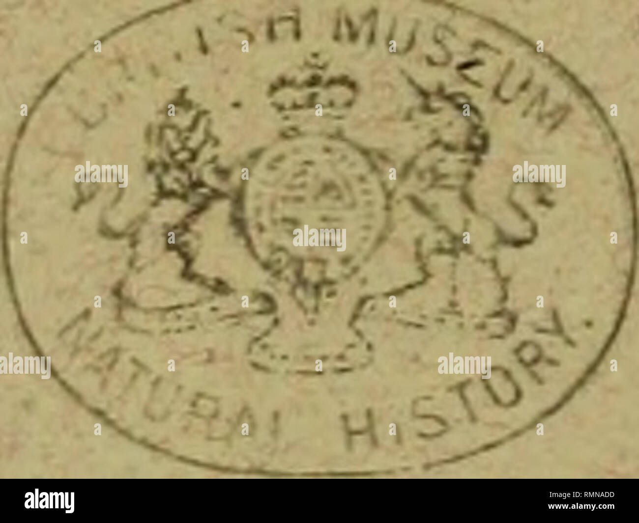 Tom Penman Tom penman hi-res stock photography and images - Alamy
