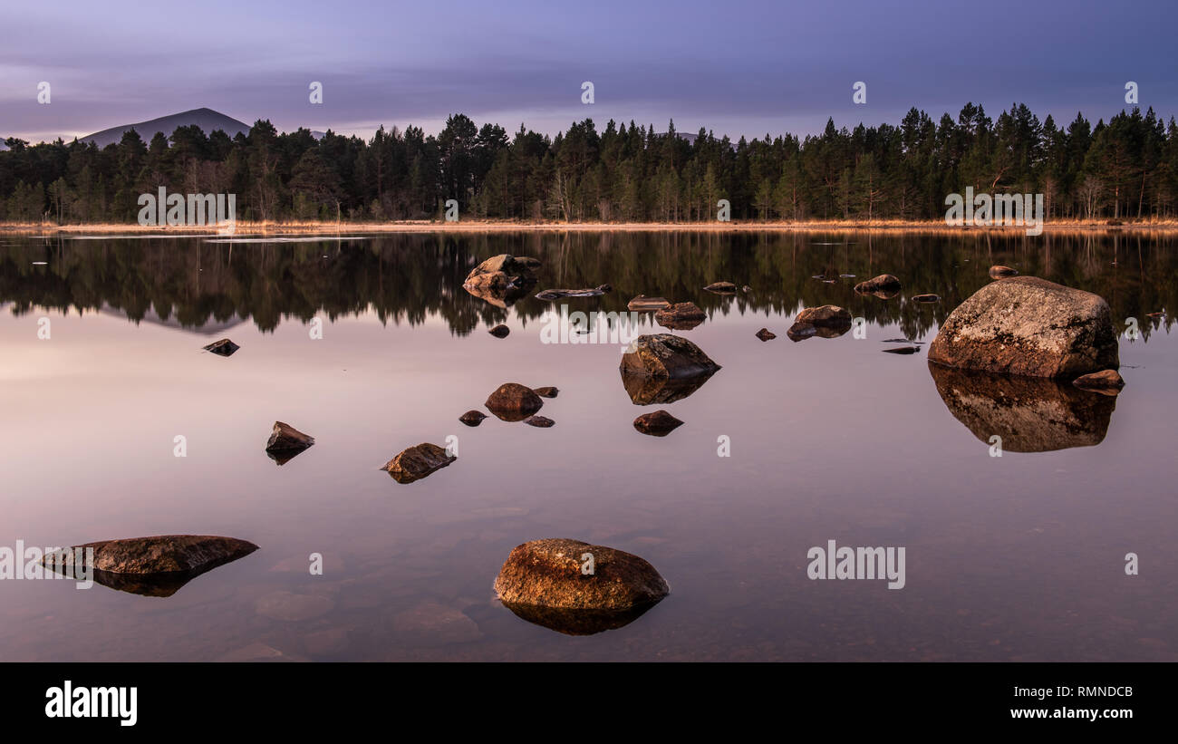 First light over Loch Morlich in the Cairngorm National Park in the Scottish Highlands Stock Photo