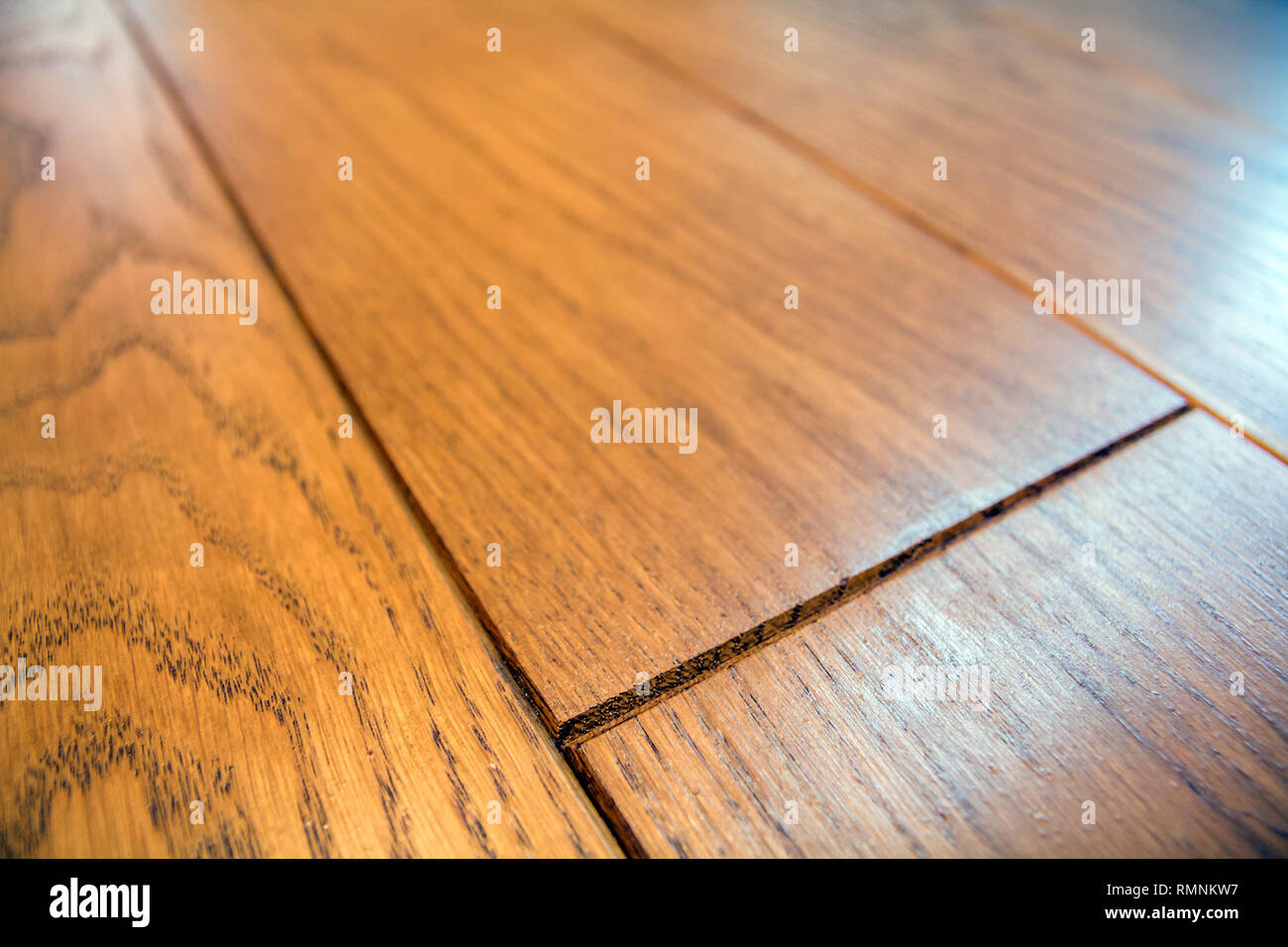 Natural light brown wooden parquet floor boards. Sunny soft yellow