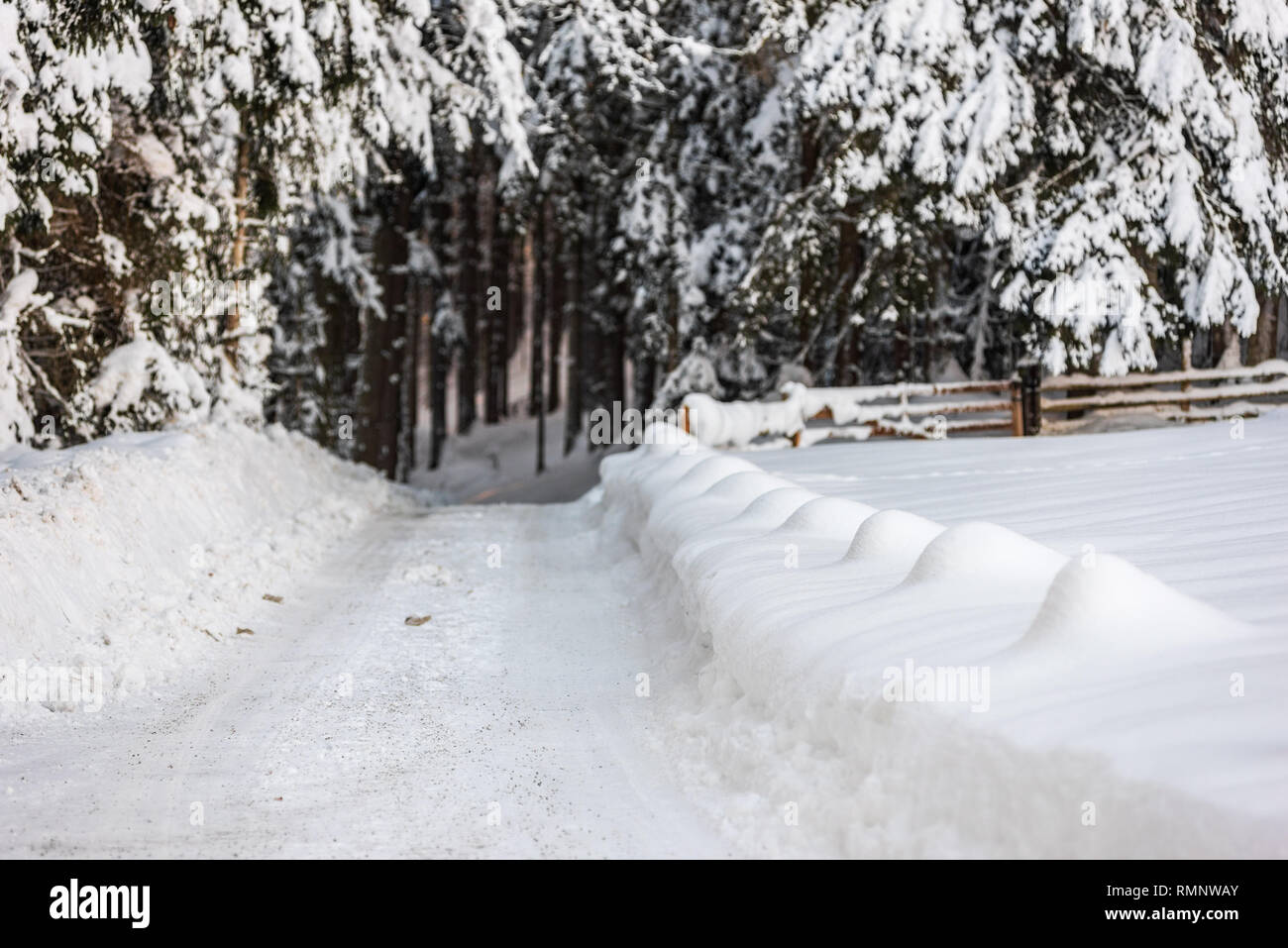Empty forest snow-covered road in winter, Flatzerhof, Schladming-Dachstein, Dachstein massif, Liezen District, Styria, Austria, Europe Stock Photo
