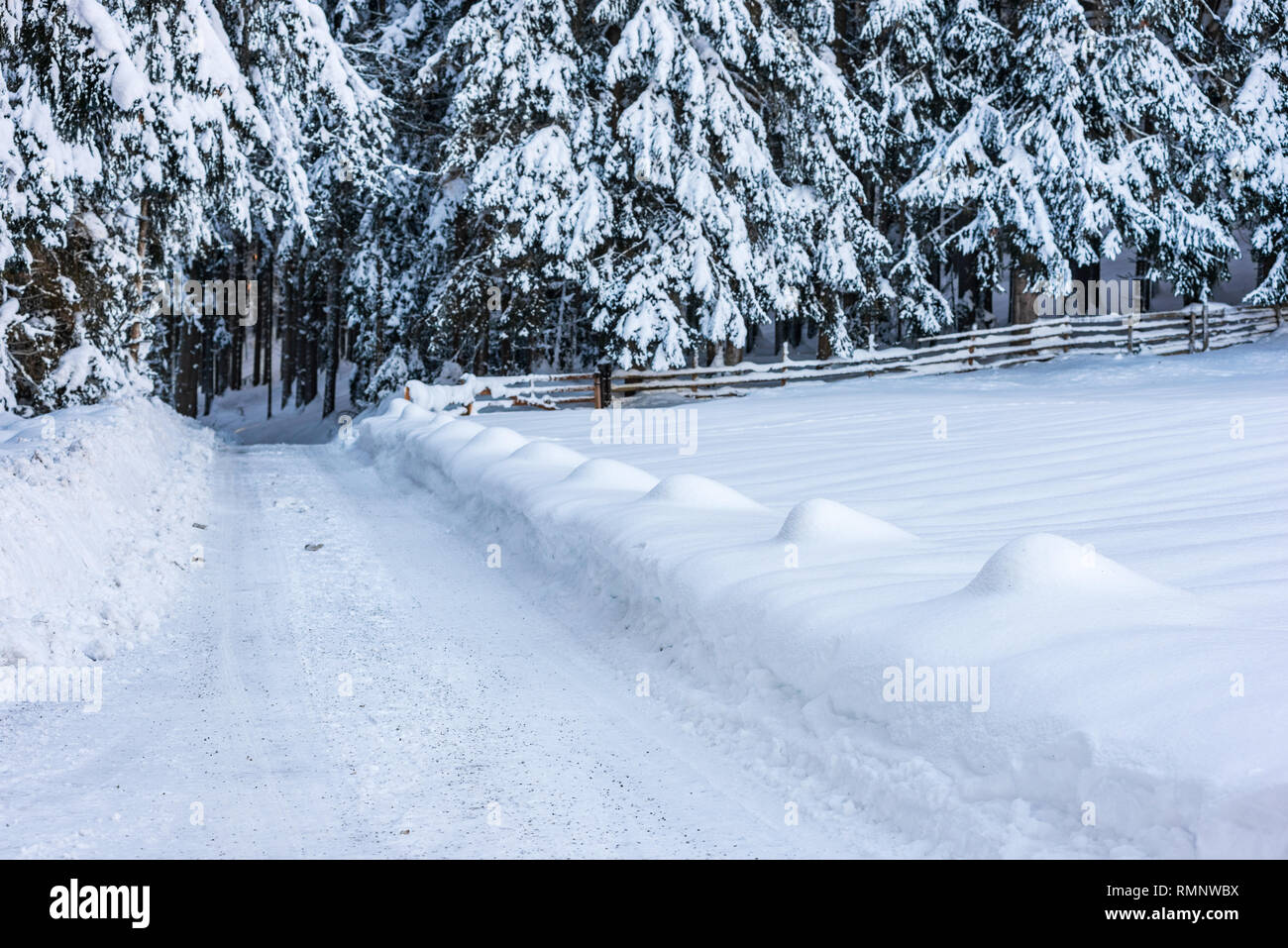 Empty forest snow-covered road in winter, Flatzerhof, Schladming-Dachstein, Dachstein massif, Liezen District, Styria, Austria, Europe Stock Photo