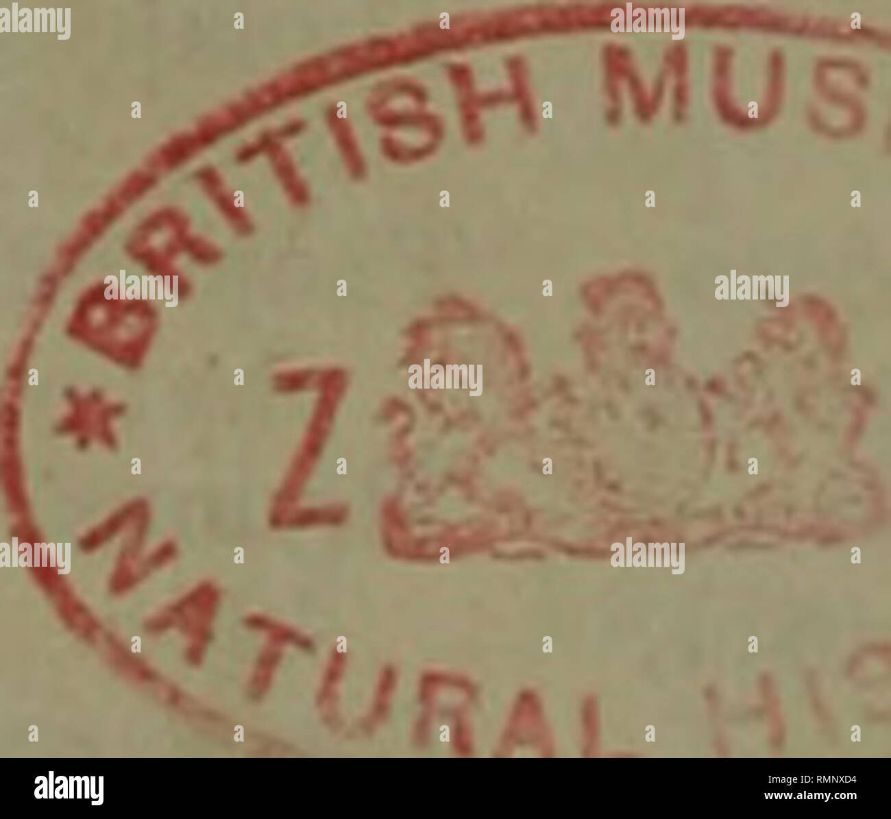 . Annals and magazine of natural history : including zoology, botany and geology. 496 INDEX. ciples of the Anatomy and Physio- logy of the, reviewed, 314. Vegetation, influence of coal gas upon, 157. Velutinse, observations on the, 44. Vivaria, remarks on marine, 382,487. Walckenaera, new British species of, 24. Ward's, N. B., Growth of Plants in Closely Glazed Cases, reviewed, 134. Wart-hog, on the anatomy of the, 246. Waterhouse, Mr., on the British spe- cies of Hydrochus and Ochthebius, 480. Westwood, J. O., on some new Cole- optera, 480. Wigeon, on the habits of the, 158. Wolf-fish, on the Stock Photo