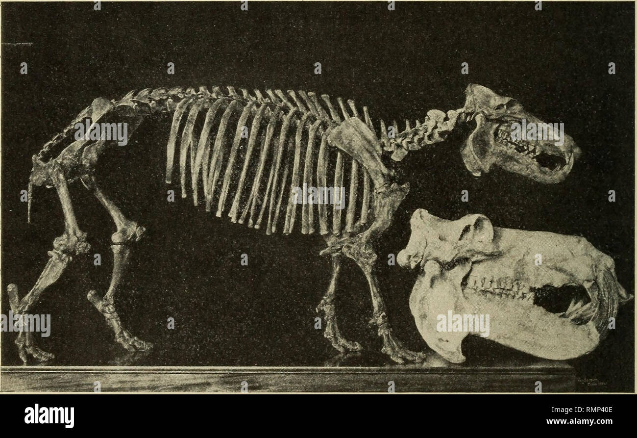 page 7 mle high resolution stock photography and images alamy