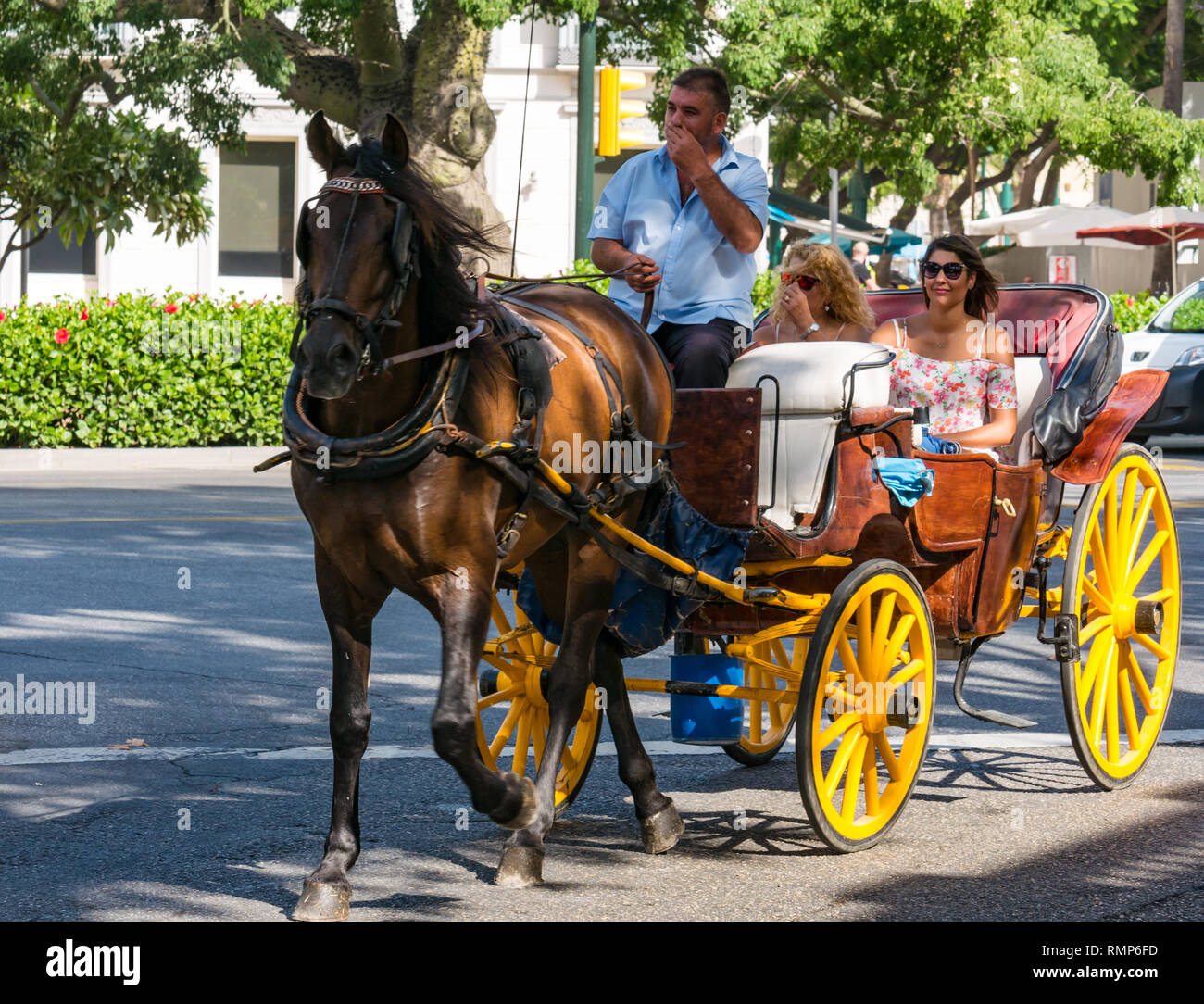 Traditional tourist horse carriage with driver and women passengers, Malaga, Andalusia, Spain Stock Photo