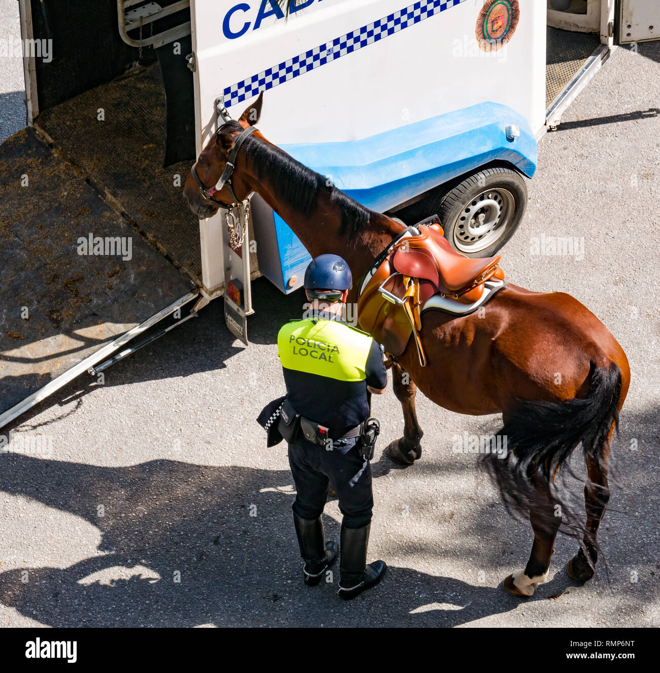 Local mounted police with horses and horse box, Gibralfaro, Malaga, Andalusia, Spain Stock Photo