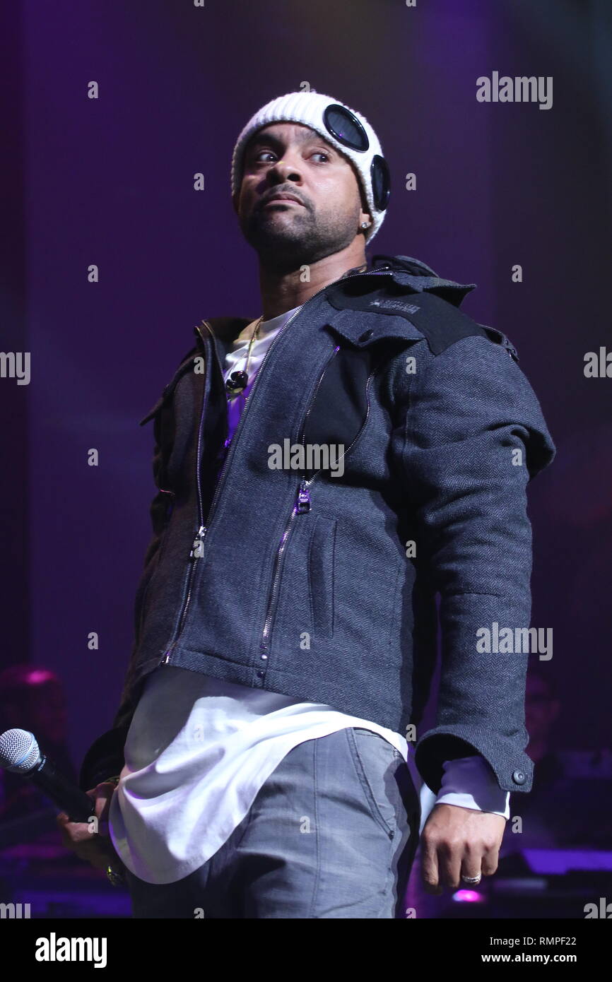 Shaggy Singer Wallpaper