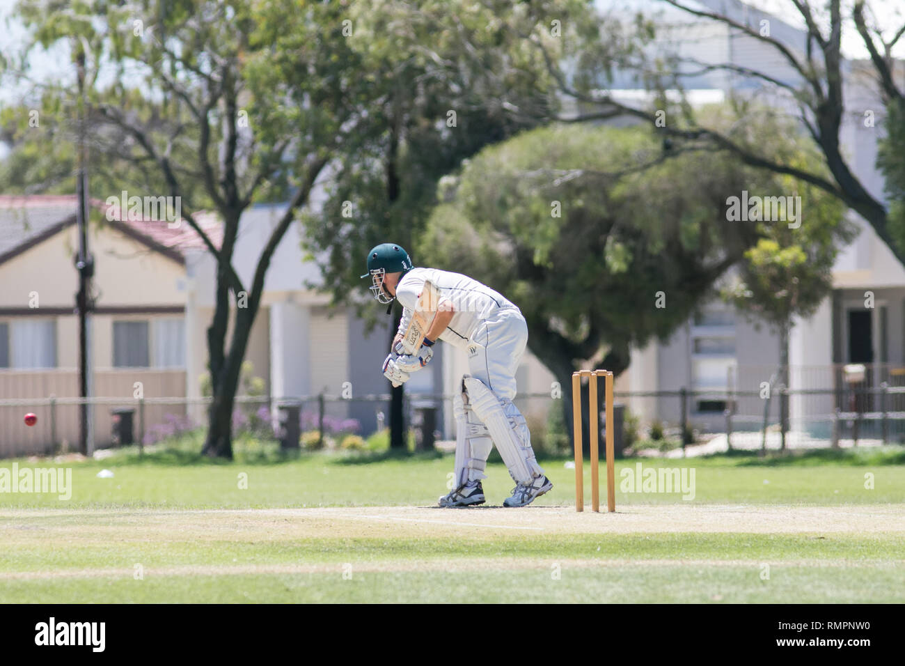 Adelaide, Australia. 16th Feb, 2019. An Association  Cricket match between Woodville Rechabites Cricket club and Pooraka Mighty Bulls being played at the Matheson Reserve Adelaide on a hot saturday afternoon with temperatures of 29 degrees celsius Credit: amer ghazzal/Alamy Live News Stock Photo