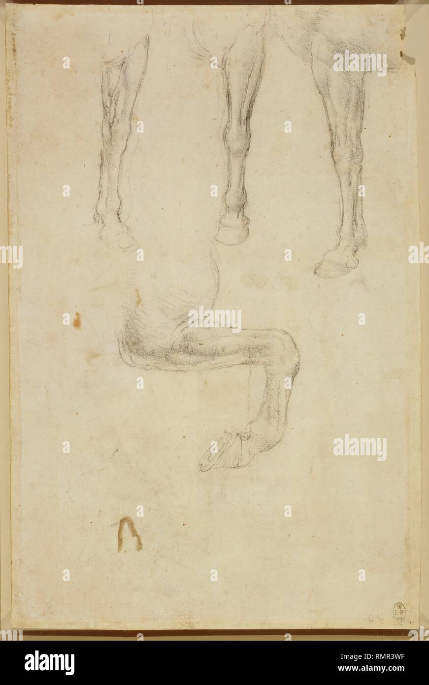 Horse's fore-legs, including one raised and bent. c 1517-18. Author: LEONARDO DA VINCI. Stock Photo