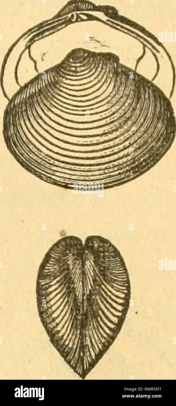 . Annals of the Lyceum of Natural History of New-York. Science. Two