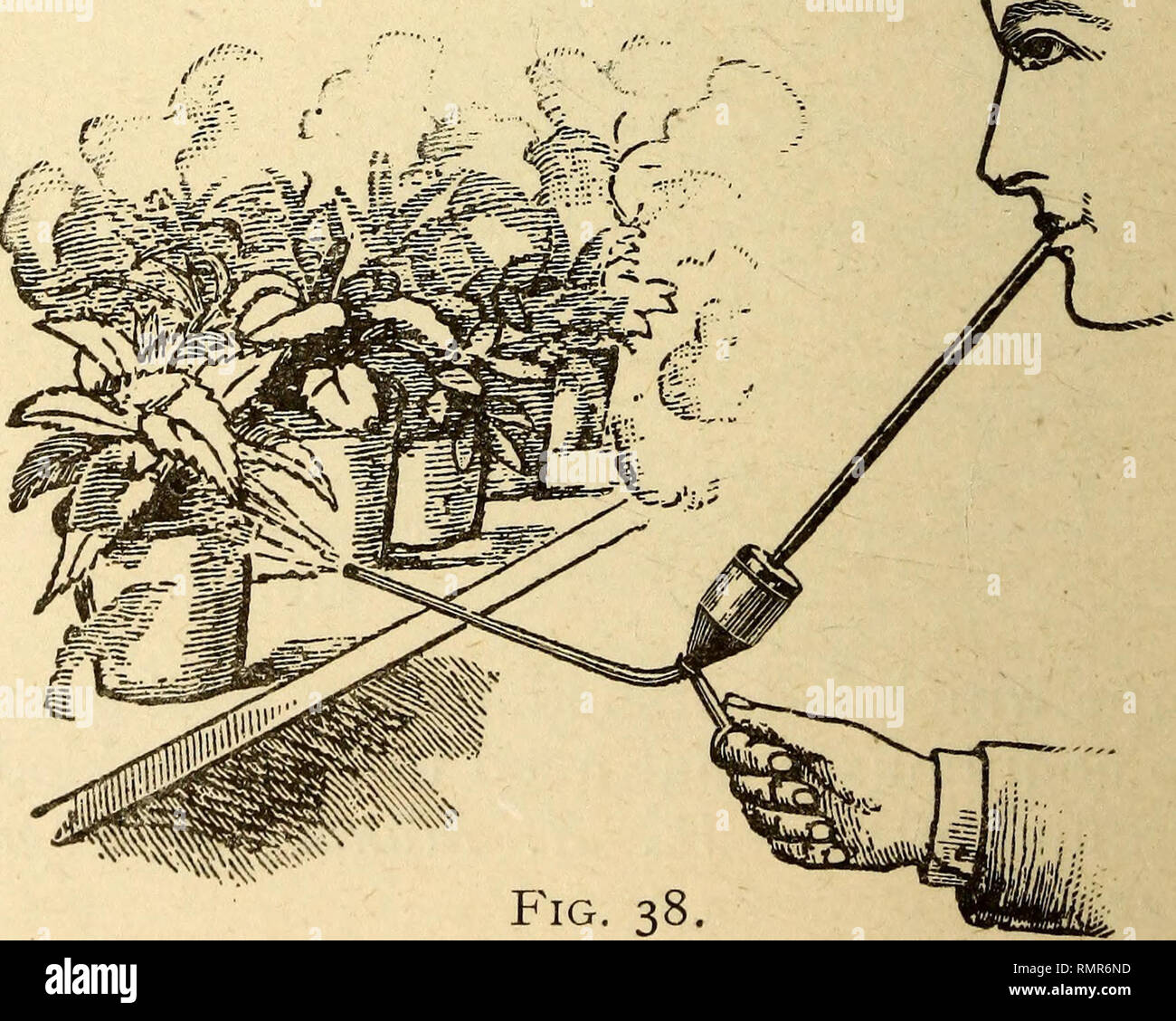 . Annals of horticulture in North America for the year ... : a witness of passing events and a record of progress. Horticulture; Horticulture. Fig. 37. copper tobacco pipe with through which smoke can be blown. Propagating Tank. —(Fig. 39, page 189.) &quot;The tank consists of a long wooden box made of matched boards, and put to- gether with paint be- tween the joints to make the box water tight. The box should be about three feet wide and ten inches Fig. 36. 37.) This is a trough secured to Ld is used for evaporating tobacco- water for the purpose of destroying aphis and other pests. — Americ Stock Photo