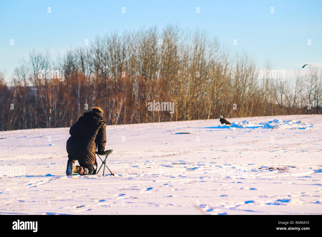 Female photographer wildlife hi-res stock photography and images - Alamy