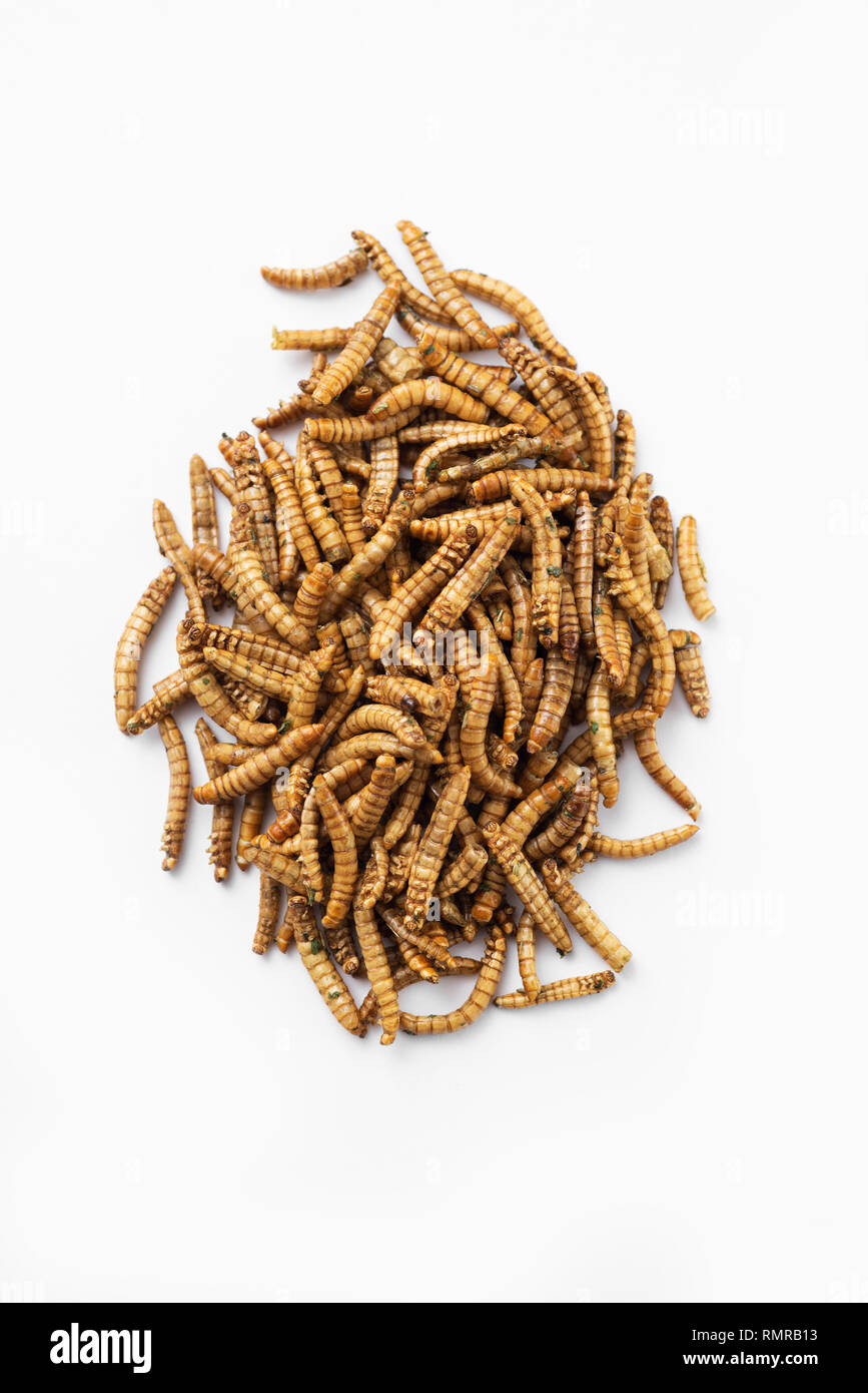high angle view of a pile of fried worms seasoned with garlic and herbs, on  a white background Stock Photo - Alamy