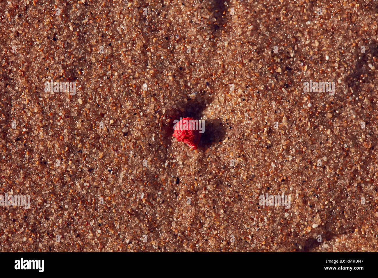 single micro plastic nurdle on sand Stock Photo