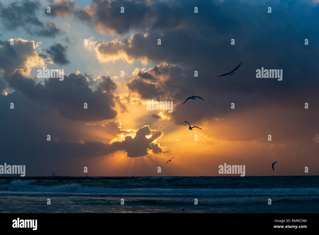 A sunset over the mediterranean, with seagulls in the cloudy sky, photographed from the beach of Tel Aviv, Israel Stock Photo
