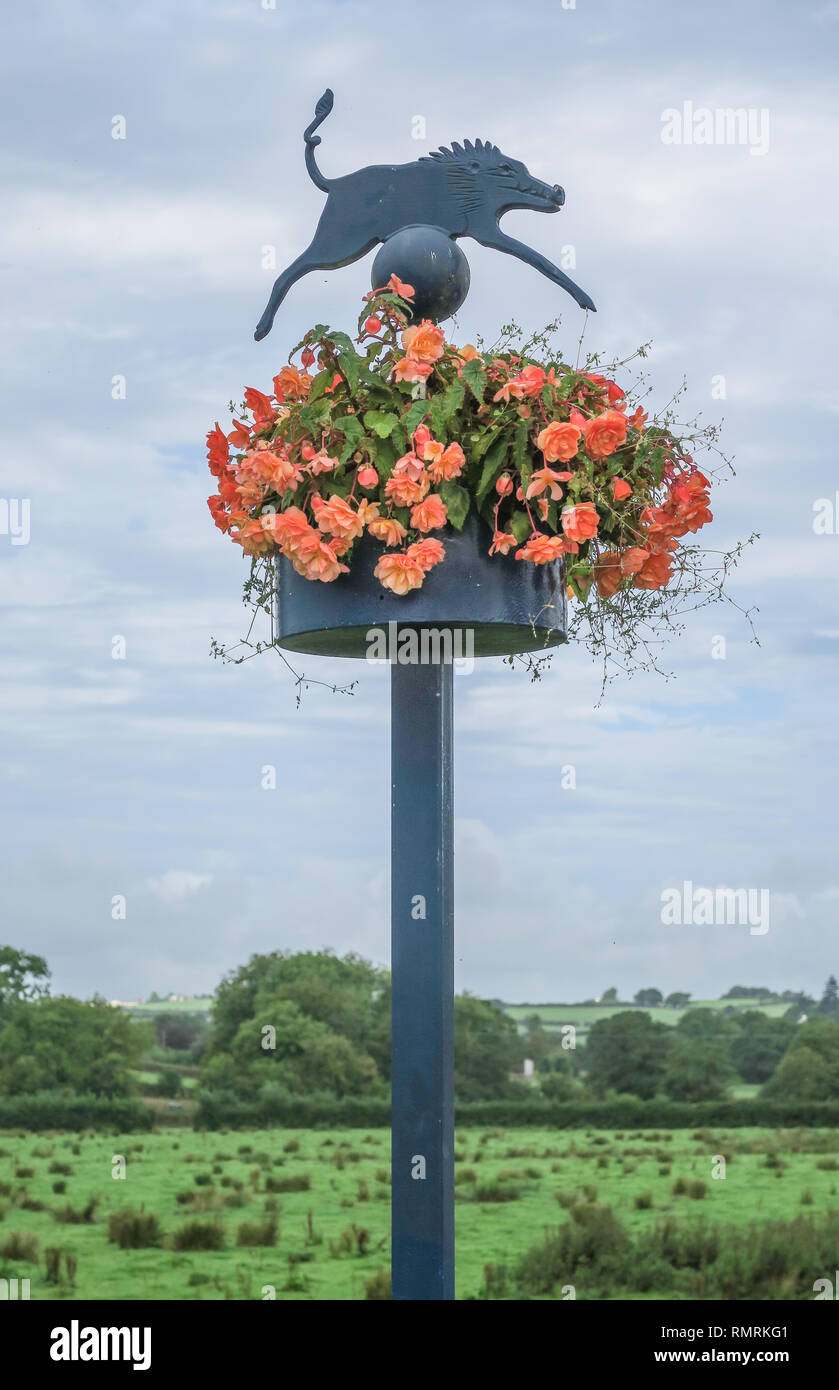 One of the many landmark posts of boar pig in St Clears, Carmarthenshire, sitting atop of peach coloured begonia flowers, Stock Photo