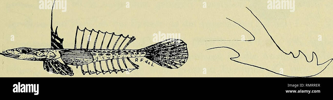 1979 ansicht hires stock photography and images Alamy