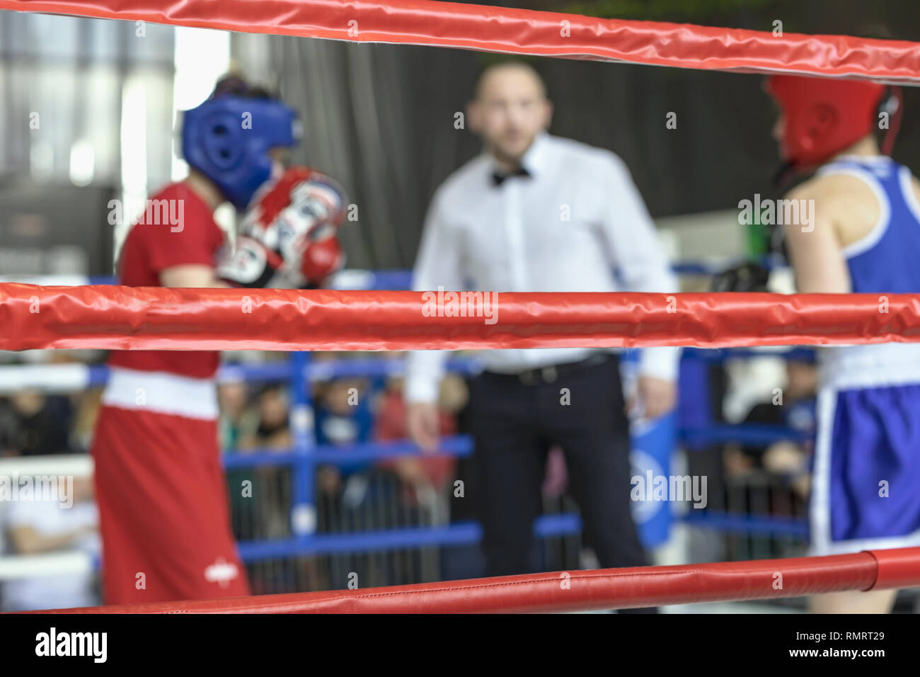 Boxing Referee High Resolution Stock Photography and Images - Alamy