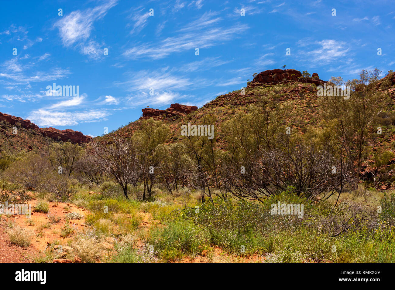 View of Kings Canyon, Northern Territory, Watarrka National Park, Australia Stock Photo