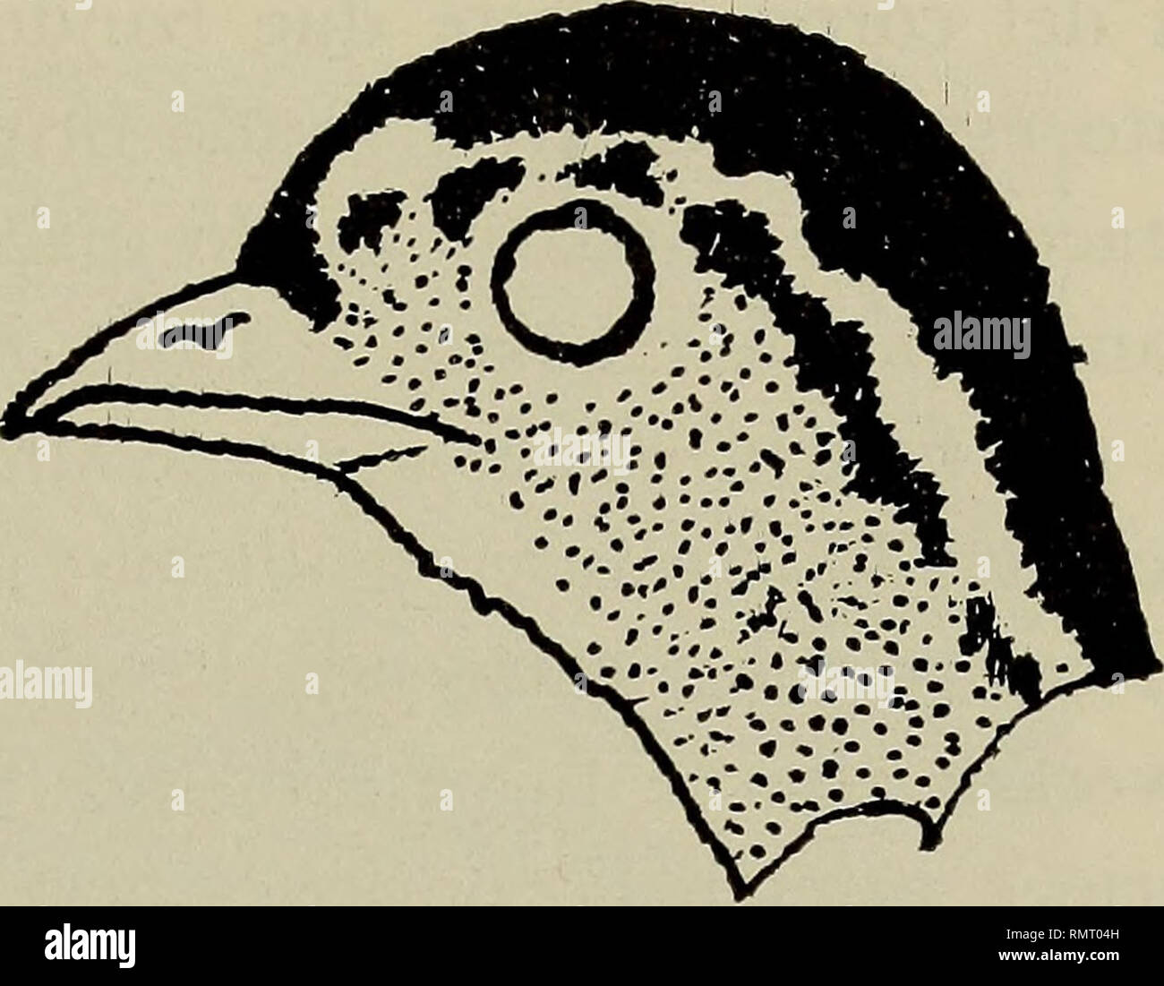 Piumino High Resolution Stock Photography And Images Alamy