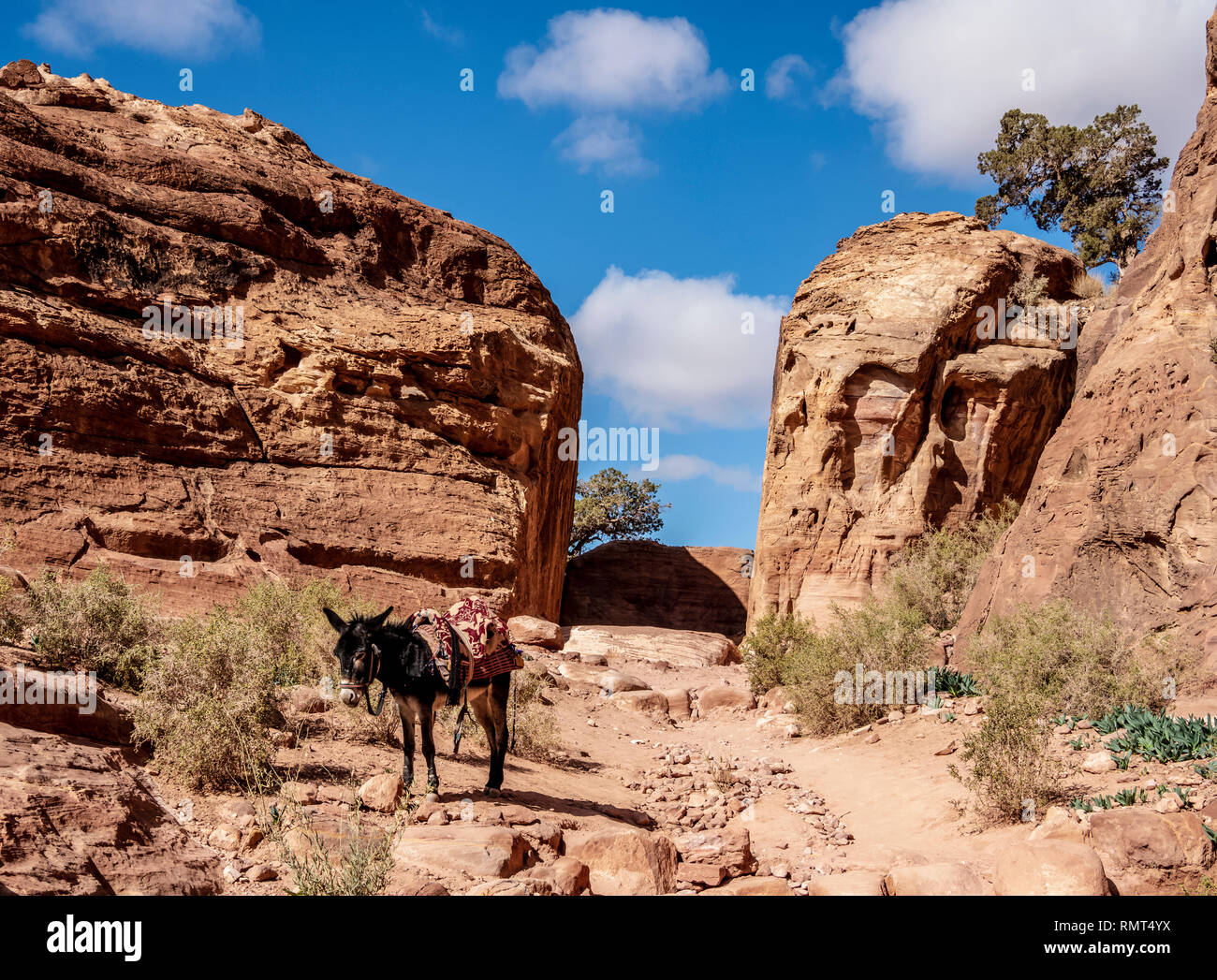 Jordan trail nabataeans hi-res stock photography and images - Alamy