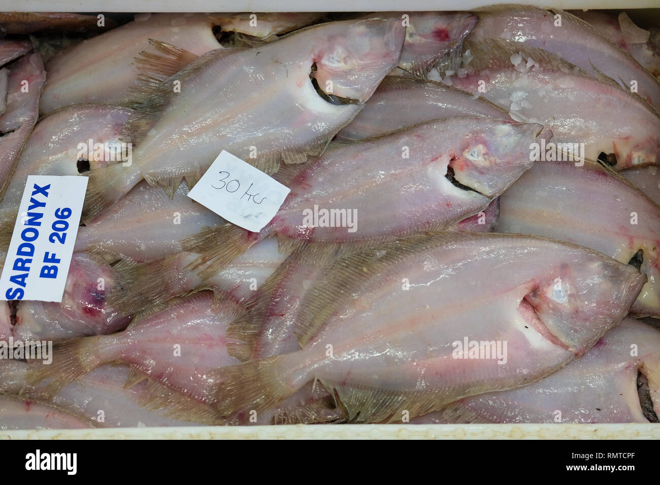 Fraserburgh fishing port hi-res stock photography and images - Alamy