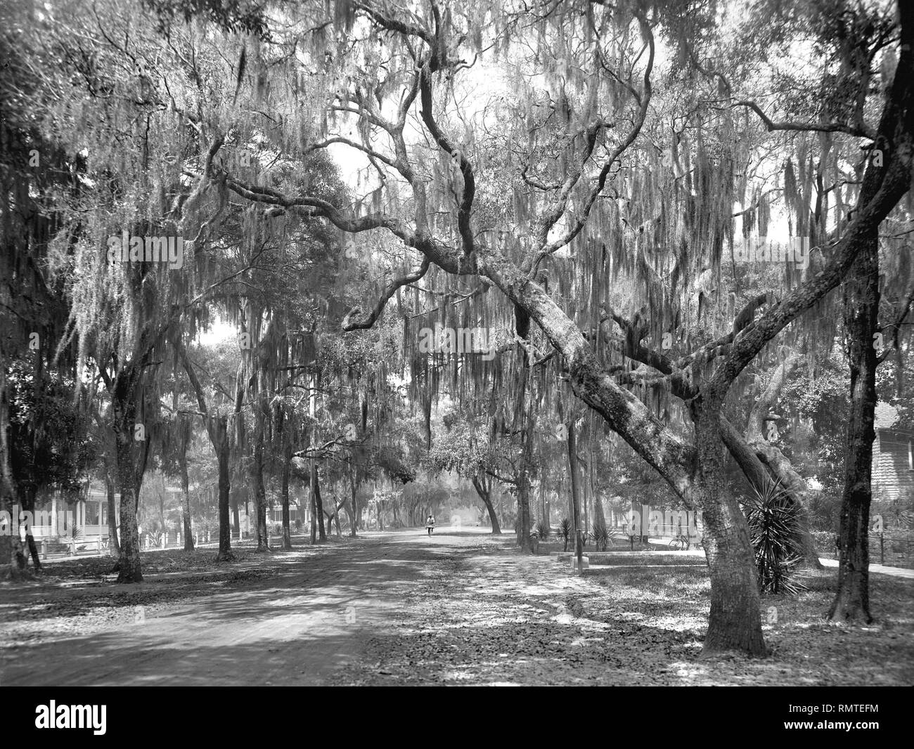 Ridgewood avenue Black and White Stock Photos & Images Alamy
