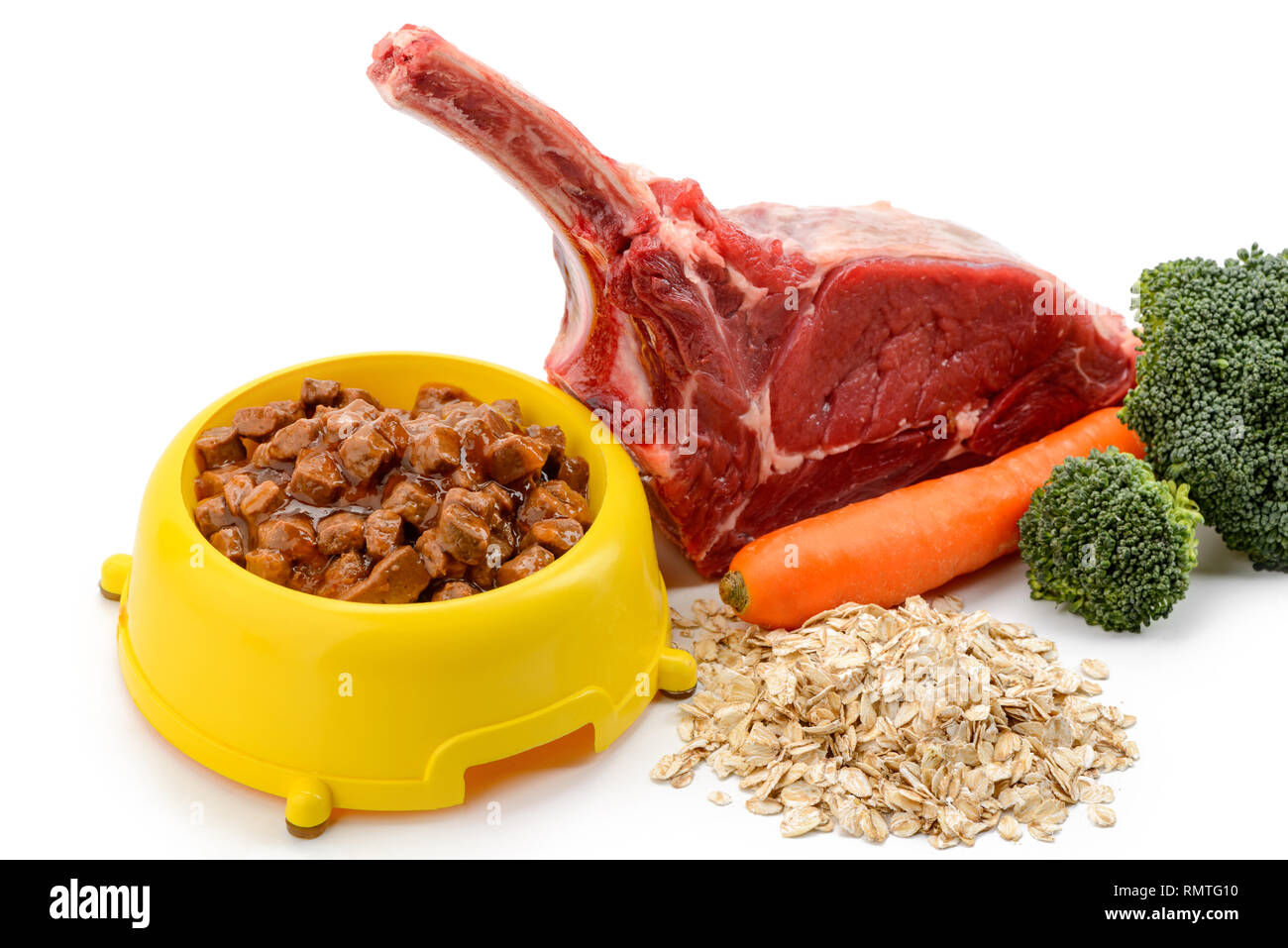 Homemade pet food Stock Photo Alamy