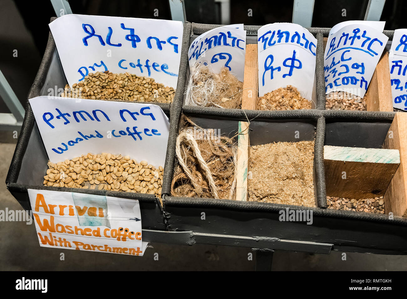 Addis Ababa, Ethiopia January 30 2014 Samples of various Raw Coffee