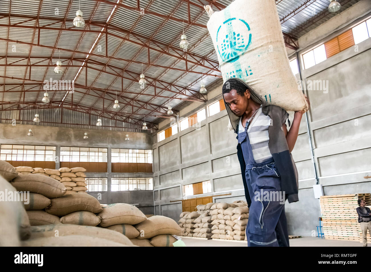 Addis Ababa, Ethiopia - January 30 2014: Men stacking large bags of coffee beans in a warehouse Stock Photo