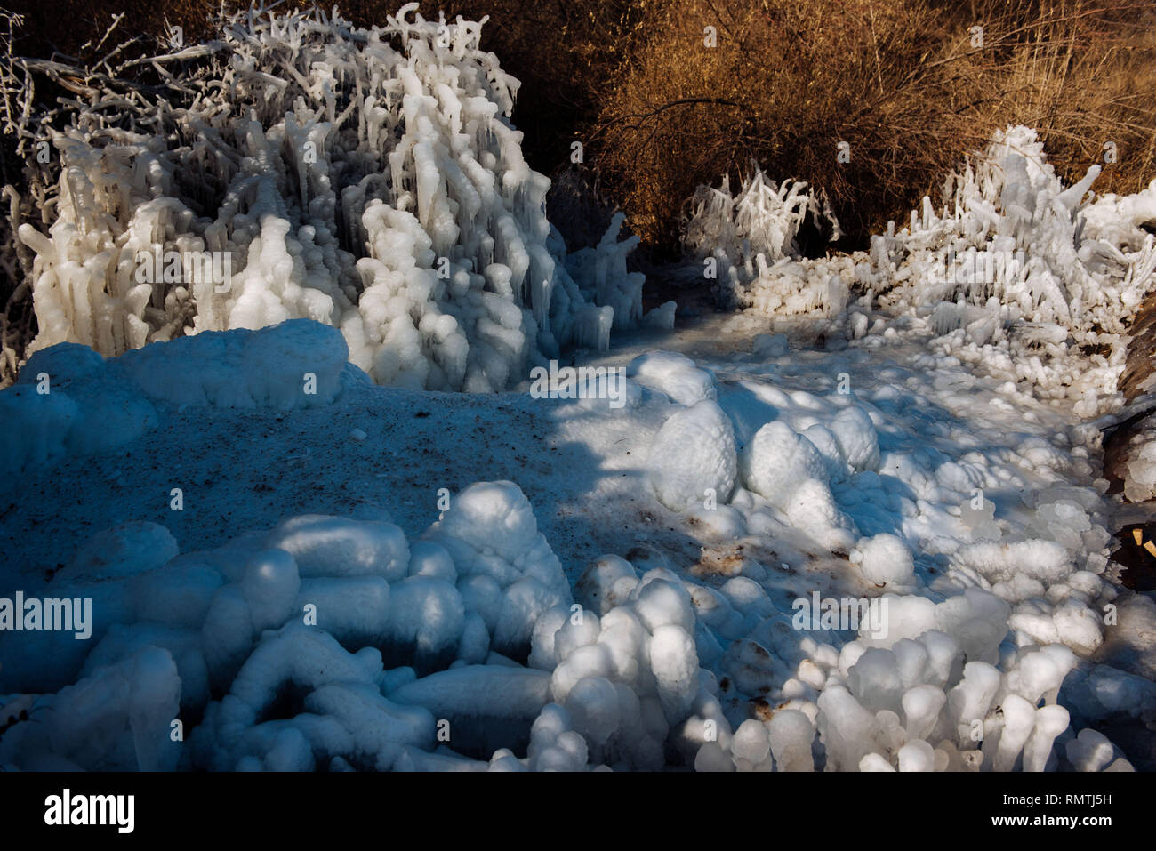 Frozen ice tree in the winter. The parts of the tree Stock Photo - Alamy