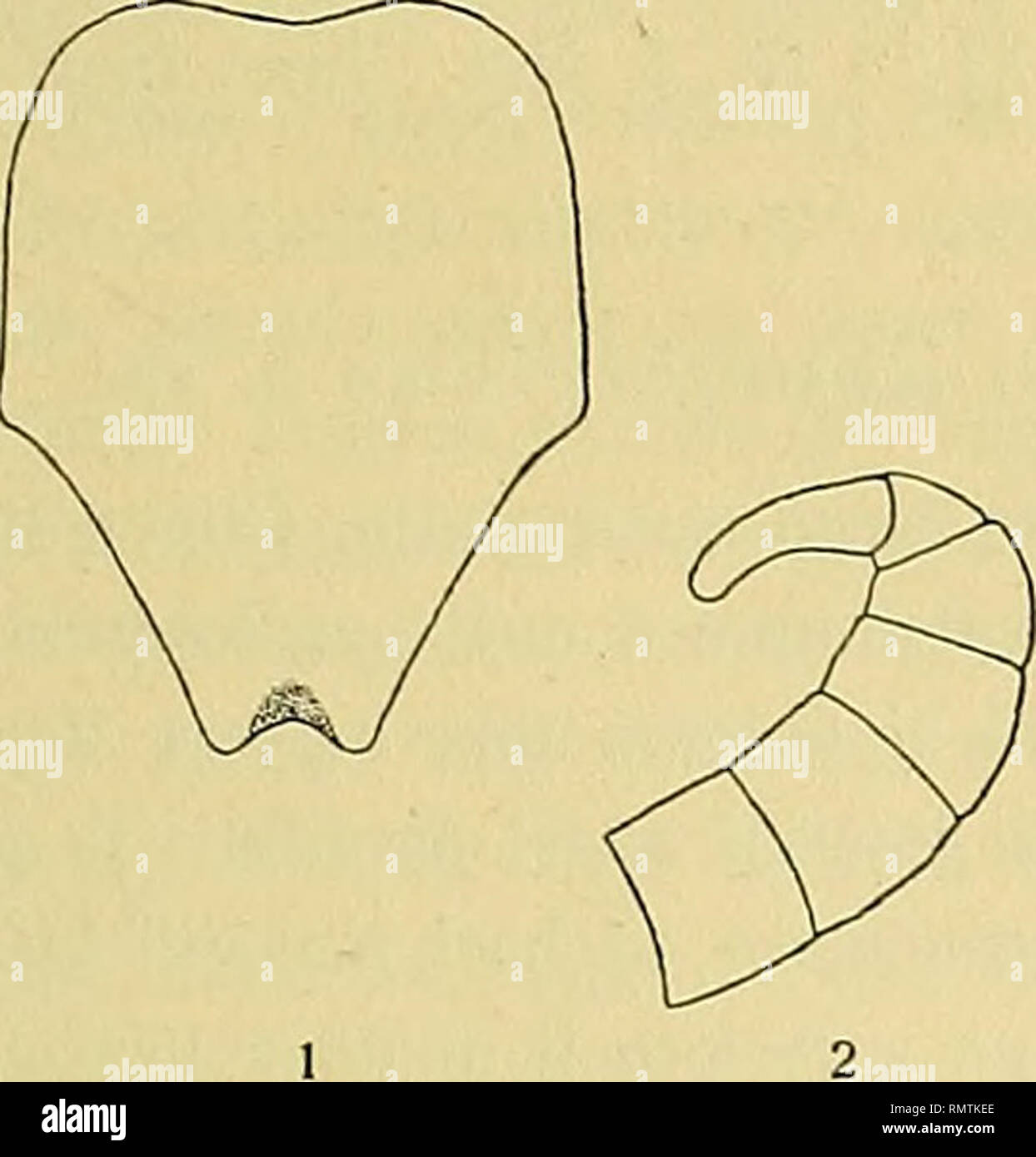 imp ne high resolution stock photography and images alamy