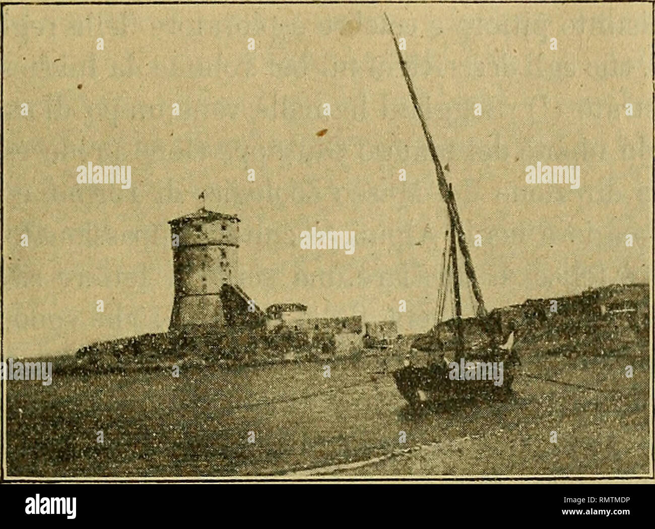 Annali Del Museo Civico Di Storia Naturale Giacomo Doria Natural History Giacomo Doria M Tempo Insieme