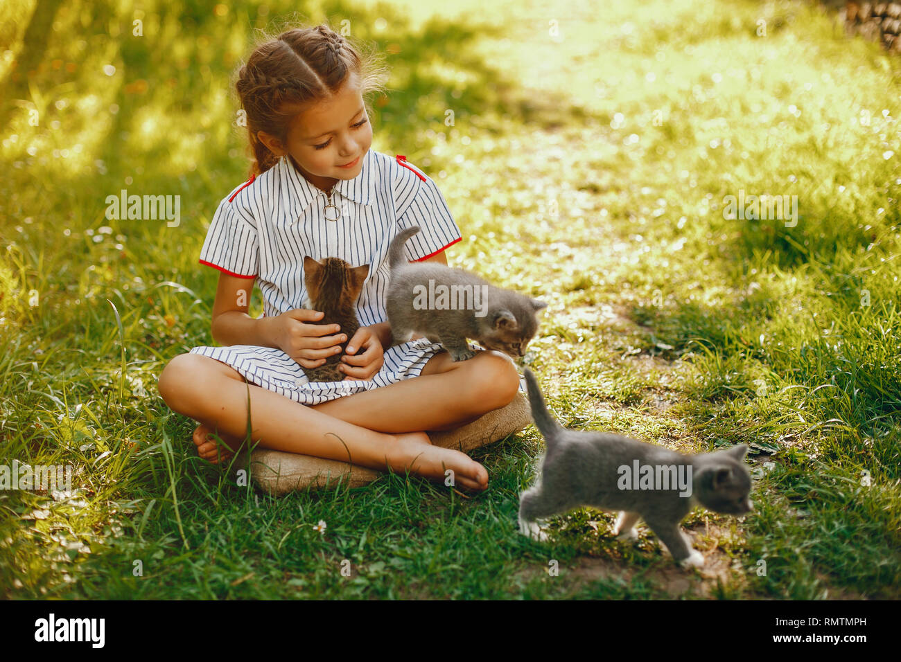 beautiful girl with cats Stock Photo Alamy