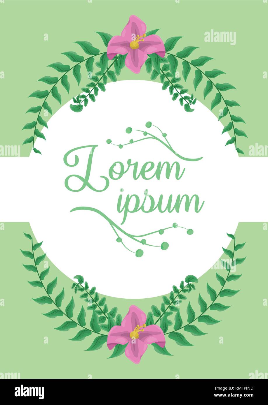 foliage nature leaves Stock Vector Image & Art - Alamy